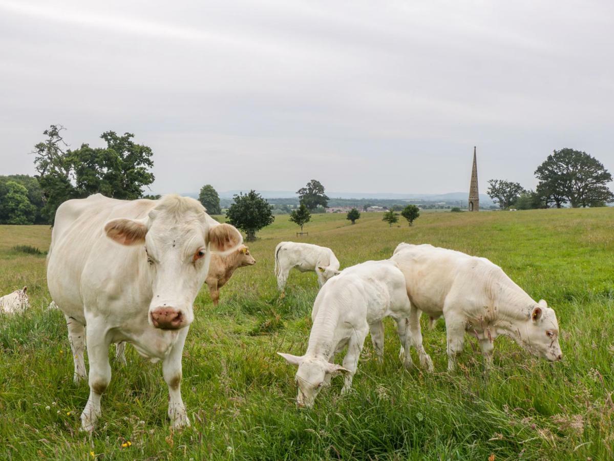 The Milking Barn Villa Yeovil Bagian luar foto