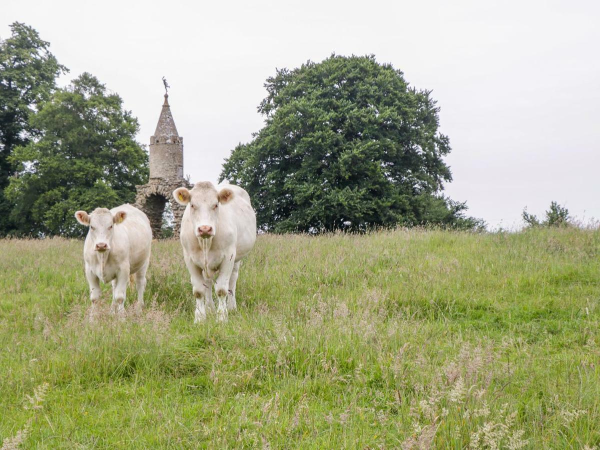 The Milking Barn Villa Yeovil Bagian luar foto